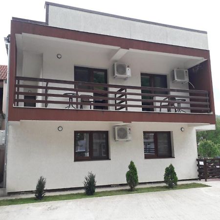 Vila Ovidiu Băile Herculane Εξωτερικό φωτογραφία
