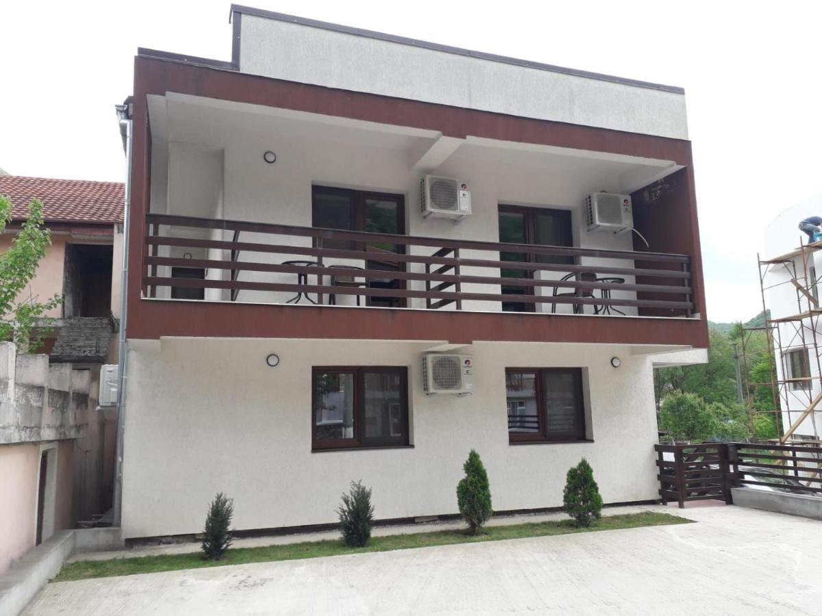 Vila Ovidiu Băile Herculane Εξωτερικό φωτογραφία